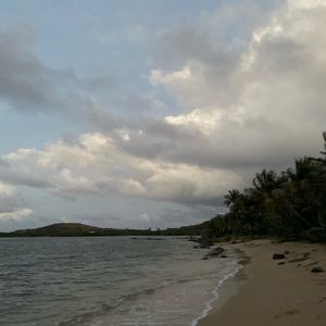 Meet your Posher, Bailey